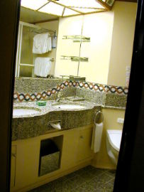 Duel sinks